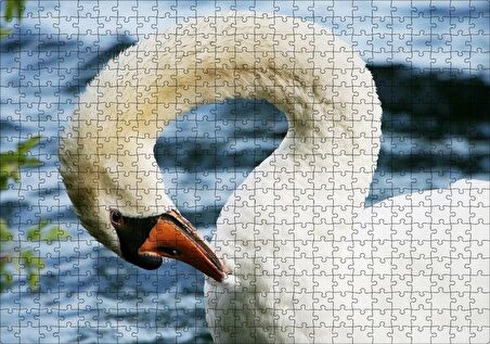 Cakapuzzle  Zarif Beyaz Kuğu Yakın Plan Puzzle Yapboz MDF Ahşap