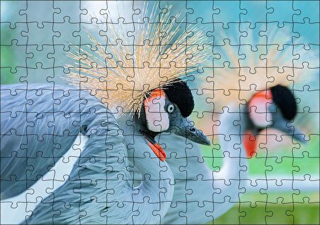 Cakapuzzle  Açık Mavi Renkli Tepeli Turna Görseli Puzzle Yapboz MDF Ahşap