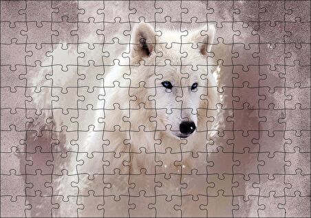 Cakapuzzle  Beyaz Kurt Puslu Zemin Görseli Puzzle Yapboz MDF Ahşap