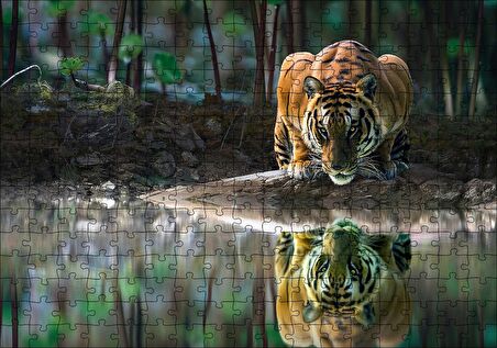 Cakapuzzle  Göldeki Kaplan Yansıması Görseli Puzzle Yapboz MDF Ahşap