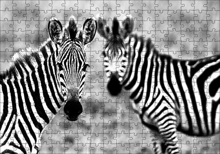 Cakapuzzle  İki Sevimli Zebra Görseli Puzzle Yapboz MDF Ahşap