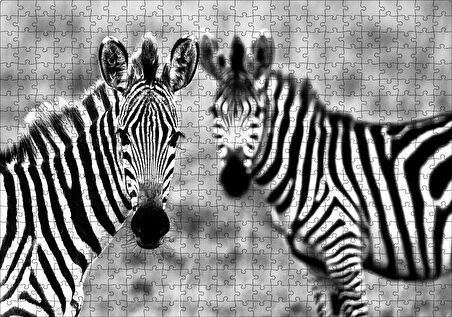 Cakapuzzle  İki Sevimli Zebra Görseli Puzzle Yapboz MDF Ahşap