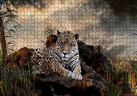 Cakapuzzle  Kayalıklarda Jaguar Kara Bulutlar Görseli Puzzle Yapboz MDF Ahşap