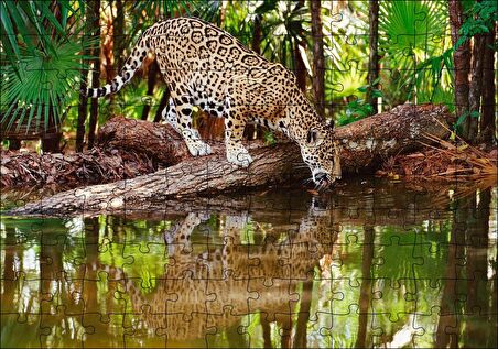 Cakapuzzle  Ormanda Su İçen Leopar Görseli Puzzle Yapboz MDF Ahşap