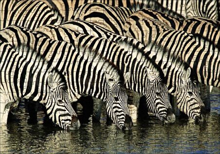 Cakapuzzle  Su İçen Zebra Sürüsü Görseli Puzzle Yapboz MDF Ahşap