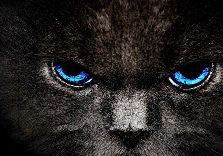 Cakapuzzle  Karakedinin Mavi Gözleri Puzzle Yapboz MDF Ahşap