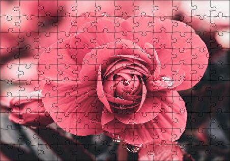 Cakapuzzle  Kırmızı Çiçek ve Damlalar Yakın Plan Puzzle Yapboz MDF Ahşap