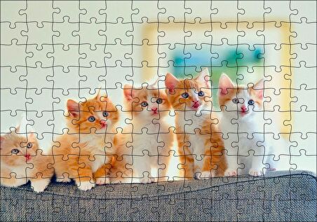 Cakapuzzle  Koltukta Sarı Beyaz Yavru Kediler Puzzle Yapboz MDF Ahşap