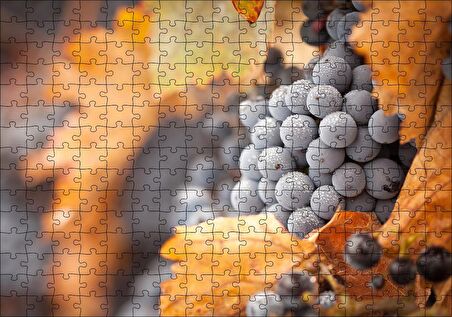 Cakapuzzle  Kuru Yapraklar ve Kara Üzümler Puzzle Yapboz MDF Ahşap