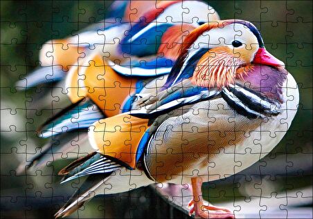 Cakapuzzle  Mandarin Ördekleri Puzzle Yapboz MDF Ahşap
