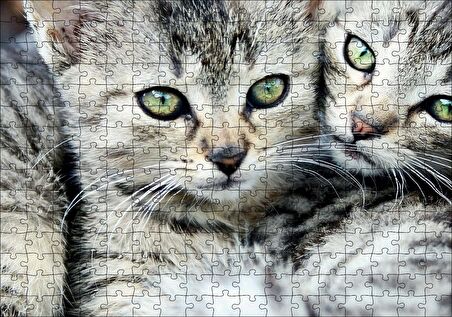 Cakapuzzle  Tekir Yavru Kediler Puzzle Yapboz MDF Ahşap