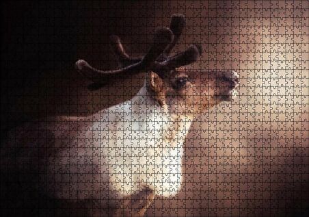 Cakapuzzle  Beyaz Kahve Rengi Geyik Görseli Puzzle Yapboz MDF Ahşap