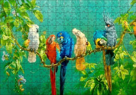 Cakapuzzle  Daldaki Renkli Papğanlar Görseli Puzzle Yapboz MDF Ahşap
