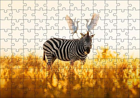 Cakapuzzle  Doğada Zebra Ve Kuşlar Görseli Puzzle Yapboz MDF Ahşap
