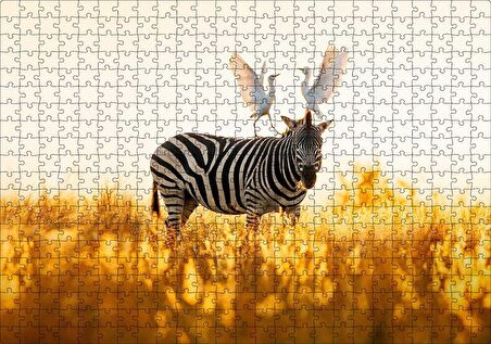 Cakapuzzle  Doğada Zebra Ve Kuşlar Görseli Puzzle Yapboz MDF Ahşap