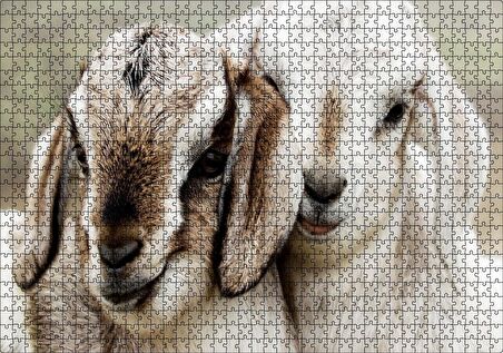 Cakapuzzle  Keçi Yvruları Görseli Puzzle Yapboz MDF Ahşap
