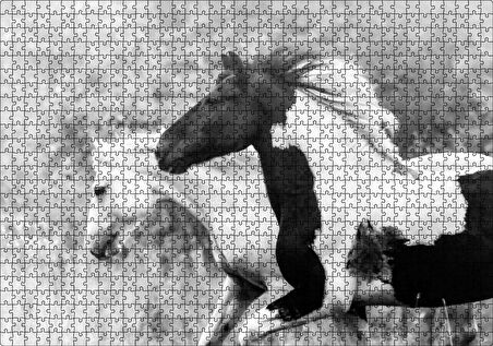 Cakapuzzle  Koşan Siyah Beyaz Atlar Görseli Puzzle Yapboz MDF Ahşap