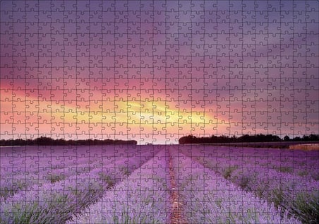 Cakapuzzle  Günbatımında Lavanta Tarlaları ve Kızıl Gökler Puzzle Yapboz MDF Ahşap