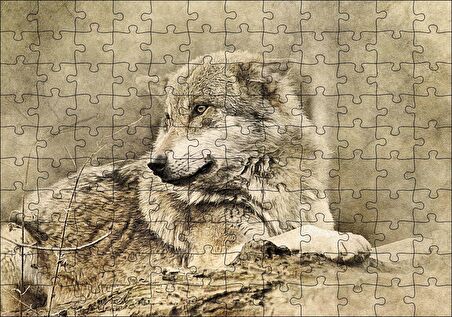 Cakapuzzle  Kurt Eski Fotoğraf Puzzle Yapboz MDF Ahşap