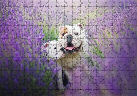 Cakapuzzle  Lavantalar Arasında Bulldoglar Puzzle Yapboz MDF Ahşap
