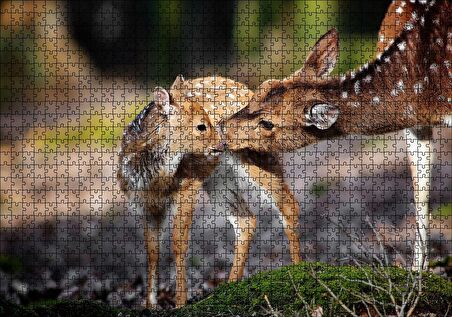 Cakapuzzle Anne Karaca ve Yavrusu Puzzle Yapboz MDF Ahşap