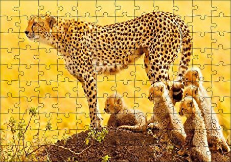 Cakapuzzle Atletik Çita ve Sevimli Yavruları Puzzle Yapboz MDF Ahşap