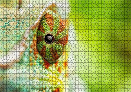 Cakapuzzle Bukalemun Gözü Yakın Çekim Flu Arka Plan Puzzle Yapboz MDF Ahşap