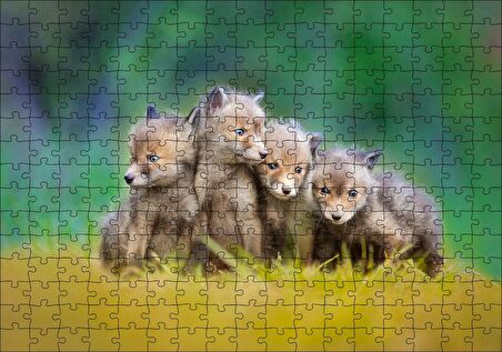 Cakapuzzle Çayırda Sevimli Tilki Yavruları Puzzle Yapboz MDF Ahşap
