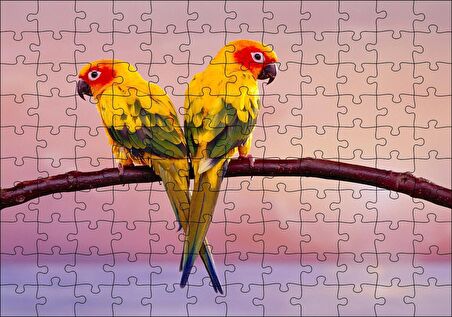 Cakapuzzle Daldaki Sarı Kırmızı Yeşil Sevda Kuşları Flu Deniz Arka Plan Puzzle Yapboz MDF Ahşap