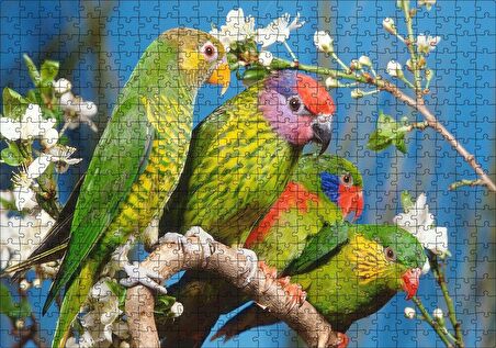 Cakapuzzle Dalın Üzerindeki Sevda Kuşları Puzzle Yapboz MDF Ahşap