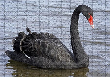 Cakapuzzle Göldeki İhtişamlı Siyah Kuğu Puzzle Yapboz MDF Ahşap