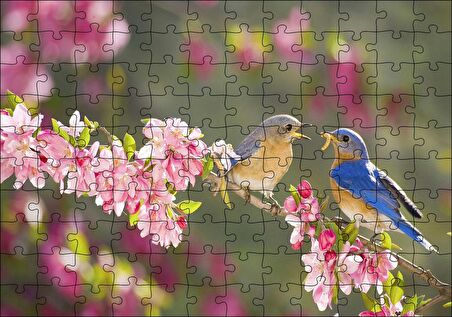 Cakapuzzle Kiraz Çiçekli Dalda Dişisini Besleyen Sevimli Kuş Puzzle Yapboz MDF Ahşap