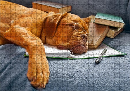 Cakapuzzle Kitap Defter Kalem ve Gözlüklü Kahverengi Buldog Puzzle Yapboz MDF Ahşap