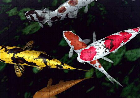 Cakapuzzle Koi Balıkları Yukarıdan Görünüm Puzzle Yapboz MDF Ahşap