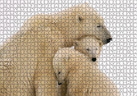 Cakapuzzle Kutup Ayısı ve Sevimli Yavruları Kar Arkaplan Puzzle Yapboz MDF Ahşap