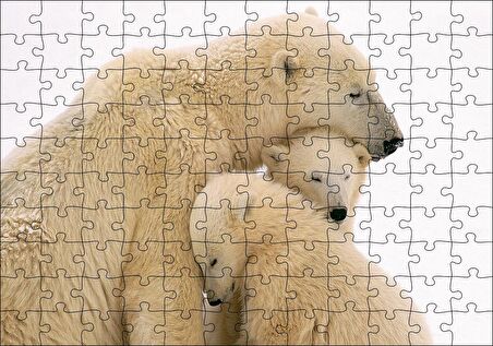 Cakapuzzle Kutup Ayısı ve Sevimli Yavruları Kar Arkaplan Puzzle Yapboz MDF Ahşap