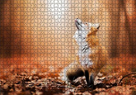 Cakapuzzle Orman Zemininde Yapraklar ve Yukarı Bakan Tilki Puzzle Yapboz MDF Ahşap