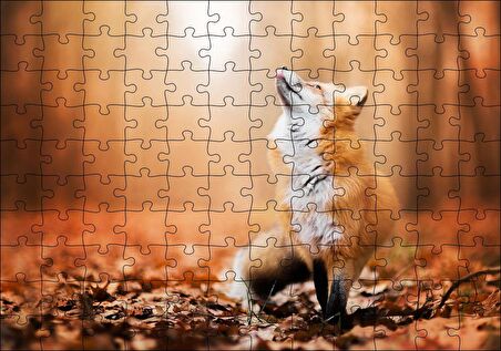 Cakapuzzle Orman Zemininde Yapraklar ve Yukarı Bakan Tilki Puzzle Yapboz MDF Ahşap