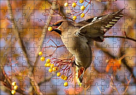 Cakapuzzle Sarı Meyveli Ağaç ve Sevimli Kuş Puzzle Yapboz MDF Ahşap