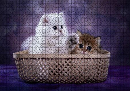 Cakapuzzle Sepette Beyaz ve Tekir Sevimli Kediler Puzzle Yapboz MDF Ahşap