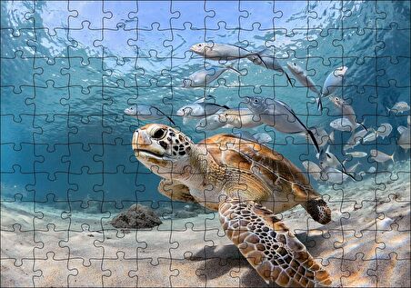Cakapuzzle Sevimli Caretta ve Ton Balıkları Puzzle Yapboz MDF Ahşap