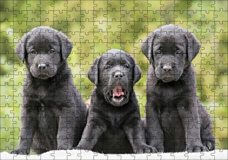 Cakapuzzle Üç Sevimli Siyah Yavru Köpek Puzzle Yapboz MDF Ahşap