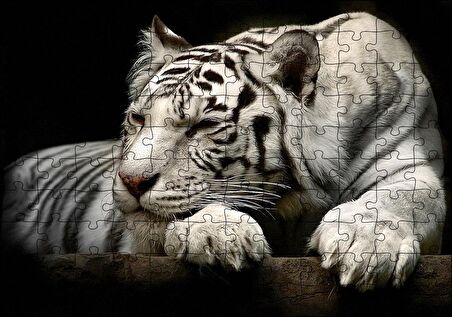 Cakapuzzle Uyuklayan Beyaz Kaplan Karanlık Arka Plan Puzzle Yapboz MDF Ahşap