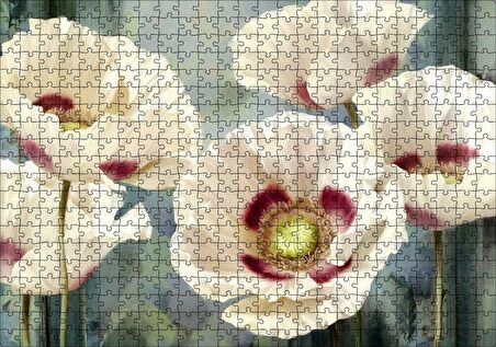 Cakapuzzle Kırmızı Beyaz Kasımpatı Çiçekleri Puzzle Yapboz MDF Ahşap