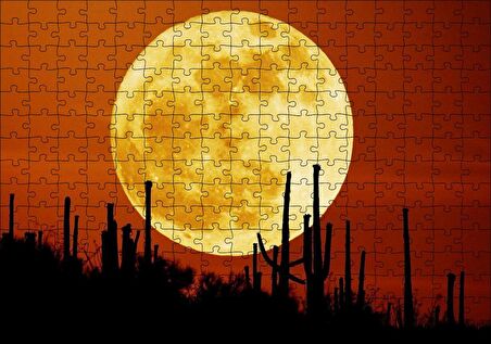 Cakapuzzle Arizona'da Kaktüsler ve Arkada Muhteşem Süper Ay Puzzle Yapboz MDF Ahşap