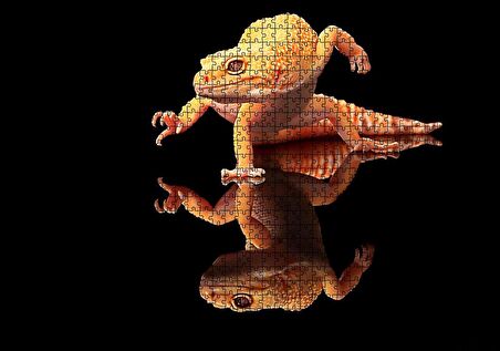 Cakapuzzle Geko Kertenkelesi Cam Zeminde Karanlık Arka Plan Puzzle Yapboz MDF Ahşap