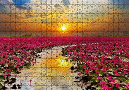 Cakapuzzle Günbatımında Gölde Pembe Çiçekler Puzzle Yapboz MDF Ahşap