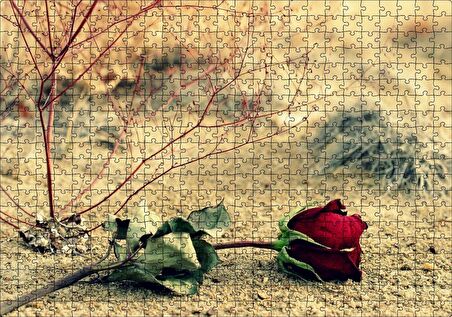 Cakapuzzle Kurak Toprak ve Solan Kırmızı Gül Puzzle Yapboz MDF Ahşap