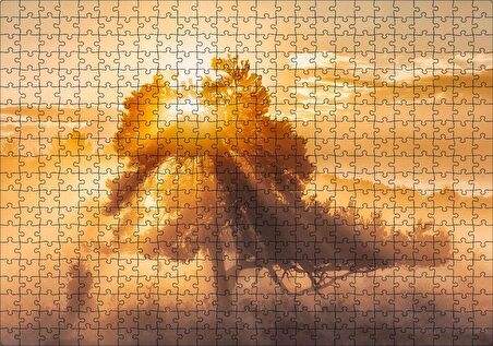 Cakapuzzle Ormanın Dışındaki Tek Ağaç ve Mistik Güneş Işınları Puzzle Yapboz MDF Ahşap