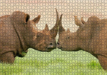 Cakapuzzle Yeşil Çayırdaki Erkek ve Dişi Gergedan Puzzle Yapboz MDF Ahşap